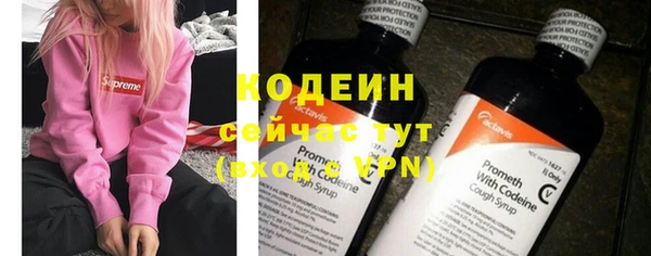 ГАЛЛЮЦИНОГЕННЫЕ ГРИБЫ Липки