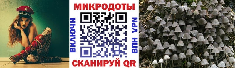Псилоцибиновые грибы прущие грибы  где найти   Рассказово 